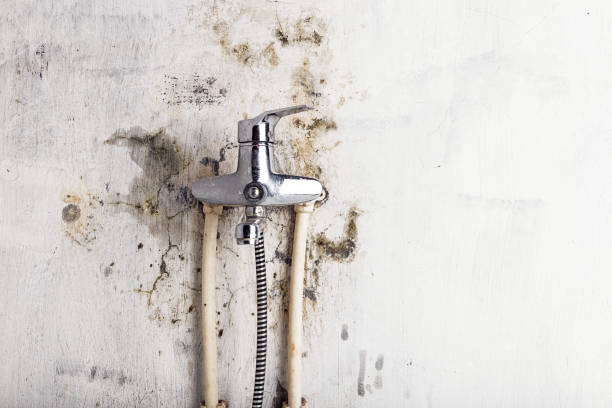  Dover Beaches South, NJ Mold Removal Pros