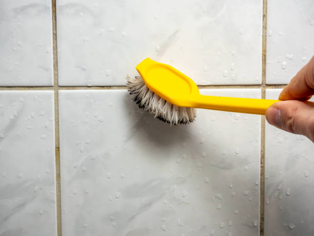 Trusted Dover Beaches South, NJ Mold Removal Experts