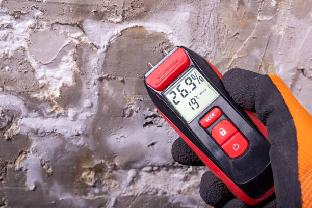Best Home Mold Removal  in Dover Beaches South, NJ