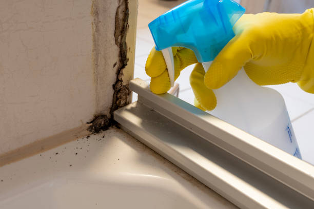 Water Damage Restoration in Dover Beaches South, NJ