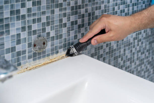 Best Professional Mold Removal  in Dover Beaches South, NJ