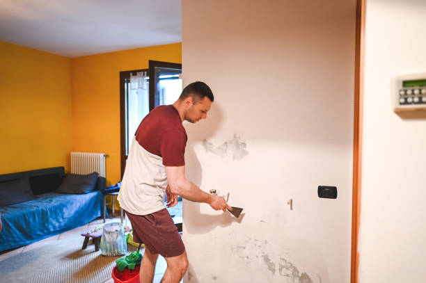 Best Mold Testing  in Dover Beaches South, NJ